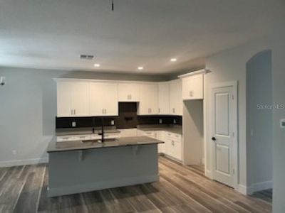 New construction Single-Family house 30828 Apawamis Drive, Mount Plymouth, FL 32776 - photo 8 8