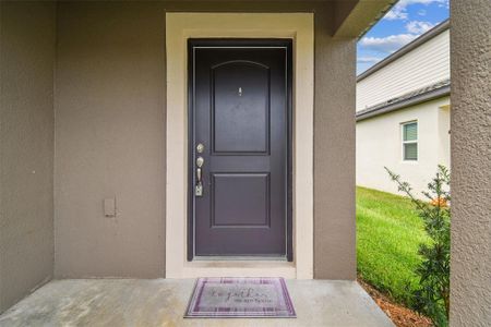 New construction Single-Family house Brooksville, FL 34602 - photo 3 3