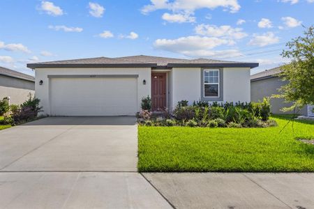 New construction Single-Family house 10112 Daybreak Glen, Parrish, FL 34219 - photo 0 0