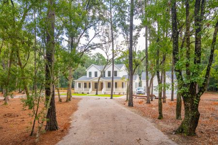 New construction Single-Family house 1451 Ravens Bluff Road, Johns Island, SC 29455 - photo 2 2