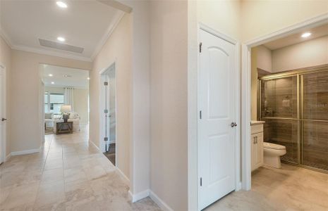 New construction Single-Family house 1965 Spring Shower Circle, Kissimmee, FL 34744 Prosperity- photo