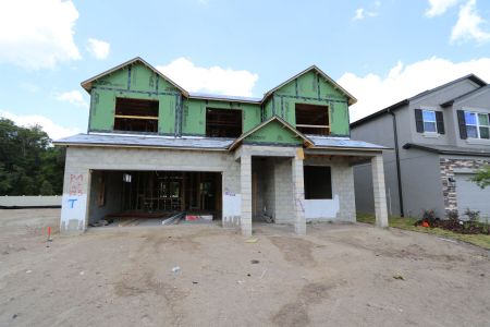 New construction Single-Family house 2530 Sunny Pebble Loop, Zephyrhills, FL 33540 Salinas- photo 26 26