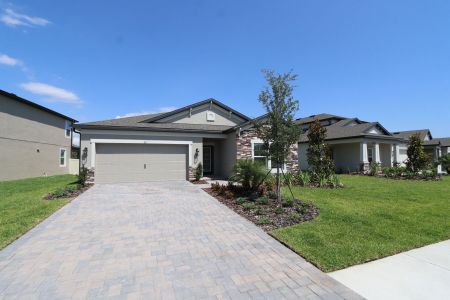 New construction Single-Family house 837 Hillshire Place, Spring Hill, FL 34609 Marque- photo 45 45