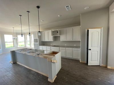 New construction Single-Family house 61 Arches Way, Valley View, TX 76272 Colca II- photo 8 8