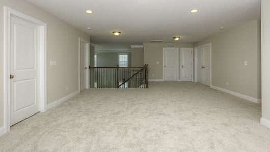 New construction Single-Family house 3353 Nc 16 Business Highway, Denver, NC 28037 - photo 81 81
