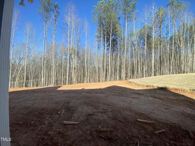 New construction Single-Family house 360 Sutherland Drive, Franklinton, NC 27525 - photo 20 20