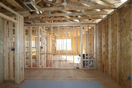 New construction Single-Family house 12114 Hilltop Farms Drive, Dade City, FL 33525 Alenza- photo 83 83