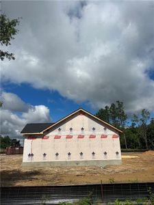 New construction Single-Family house 68 Micro Tower Road, Lillington, NC 27546 - photo 3 3