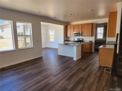 New construction Single-Family house 13385 Blue Amber Court, Parker, CO 80134 - photo 2 2