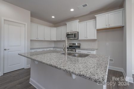 New construction Single-Family house 111 High Rock Court, Unit 10, Statesville, NC 28677 - photo 7 7