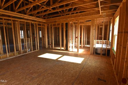 New construction Single-Family house 175 Spotted Bee Way, Youngsville, NC 27596 - photo 3 3