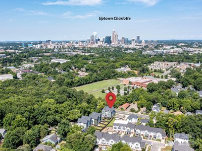 New construction Townhouse house 1500 Hawthorne Lane, Unit B, Charlotte, NC 28205 - photo 43 43