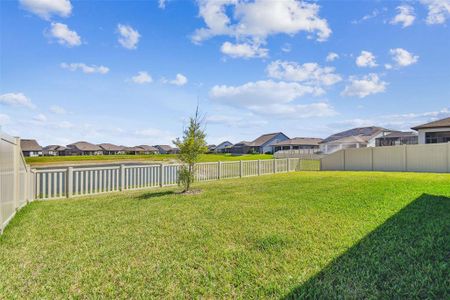 New construction Single-Family house 9422 Ibis Grove Boulevard, Wesley Chapel, FL 33545 - photo 39 39