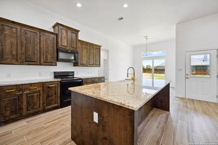 New construction Single-Family house 129 Chinaberry Hill, La Vernia, TX 78121 - photo 18 18