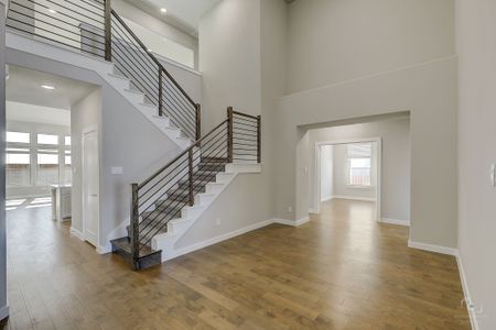 Cross Creek Meadows by Trophy Signature Homes in Celina - photo 16