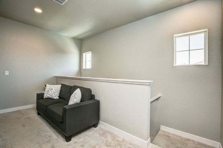 New construction Multi-Family house 827 Schlagel Street, Fort Collins, CO 80524 - photo 33 33