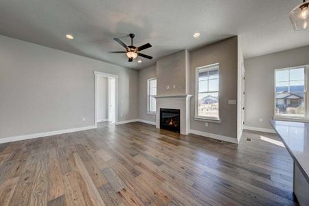 New construction Single-Family house 8412 Cromwell Circle, Windsor, CO 80528 - photo 69 69