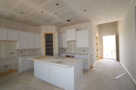 New construction Single-Family house 1037 Pansy Trail, Georgetown, TX 78628 Belmont II- photo