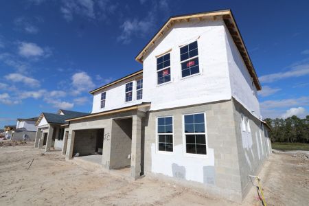 New construction Single-Family house 7843 Notched Pine Bend, Wesley Chapel, FL 33545 Santa Monica- photo
