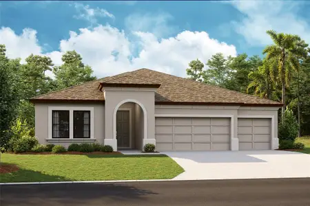 New construction Single-Family house 13066 Wellspring Drive, Lithia, FL 33547 - photo 0