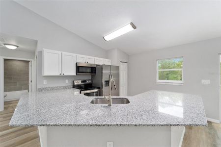 New construction Single-Family house 1280 Nw Redwood Drive, Dunnellon, FL 34431 - photo 29 29