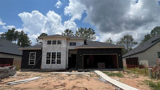 New construction Single-Family house 16006 Ruby Laurel Court, Conroe, TX 77302 - photo 3 3
