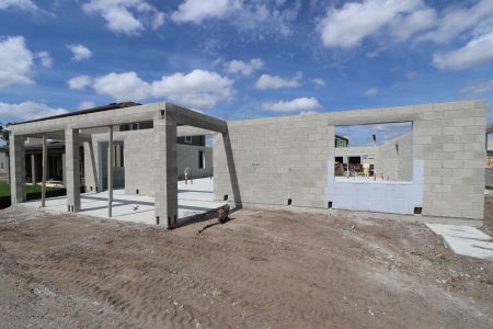 New construction Single-Family house 9464 Seagrass Port Pass, Wesley Chapel, FL 33545 Barcello Bonus- photo 11 11