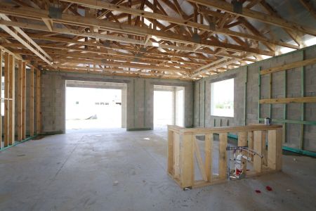 New construction Single-Family house 33251 Amling Pecan Branch, Wesley Chapel, FL 33545 Santa Monica- photo 30 30