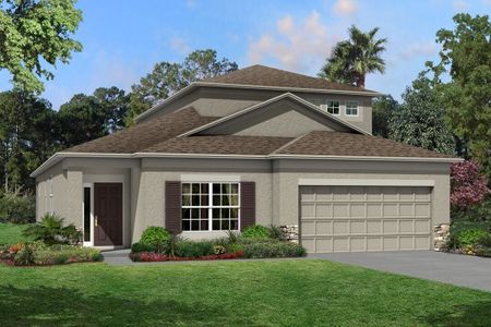 New construction Single-Family house Newport II Bonus, 2225 Anderson Snow Road, Spring Hill, FL 34609 - photo