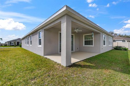 New construction Single-Family house 10627 Laxer Cay Loop, San Antonio, FL 33576 - photo 58 58