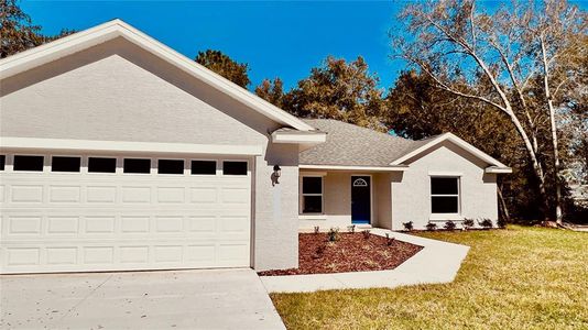 New construction Single-Family house 57 Bay Drive, Ocklawaha, FL 32179 - photo 0