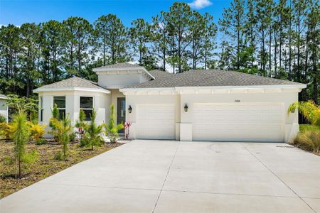 New construction Single-Family house 2909 Gator Crossing Place, New Port Richey, FL 34655 - photo