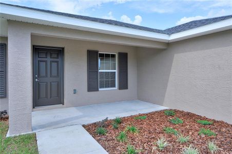 New construction Single-Family house 16307 Sw 26Th Terrace, Ocala, FL 34473 - photo 3 3