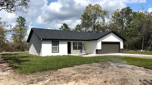 New construction Single-Family house 3918 Sw 161St Loop, Ocala, FL 34473 - photo