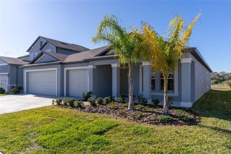 New construction Single-Family house 9424 Channing Hill Drive, Ruskin, FL 33573 - photo 2 2