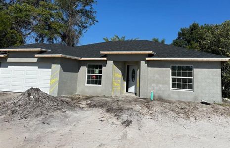 New construction Single-Family house 102 Colomba Road, Debary, FL 32713 - photo 0