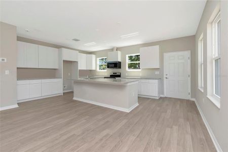 New construction Single-Family house 5742 Meadow Lane Street, New Port Richey, FL 34652 - photo 9 9