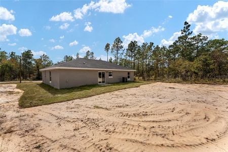 New construction Single-Family house 24053 Nw Tamarind Lane, Dunnellon, FL 34431 - photo 33 33