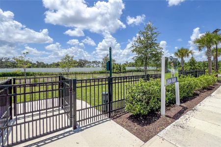 New construction Single-Family house 5206 123Rd Avenue E, Parrish, FL 34219 - photo 79 79