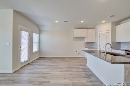 New construction Single-Family house 922 Dust Devil, New Braunfels, TX 78130 Landmark Series - Avalon- photo 5 5