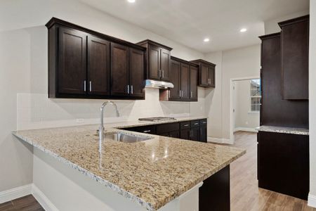 New construction Single-Family house 3688 Rolling Meadows Drive, Grand Prairie, TX 76065 - photo 77 77