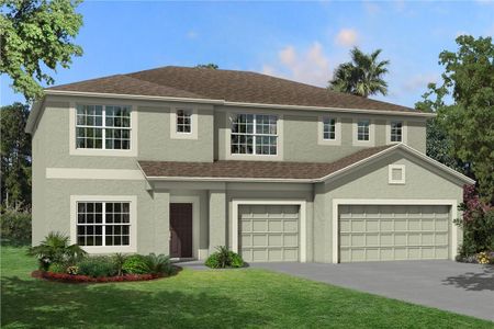 New construction Single-Family house Dali, 4969 Eagle Rock Drive, Wimauma, FL 33598 - photo