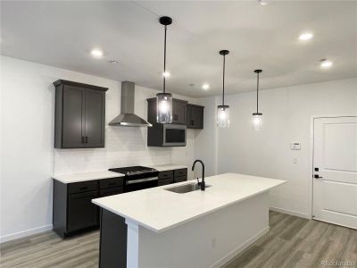 New construction Townhouse house 9634 Browns Peak Circle, Littleton, CO 80125 Terrain- photo 15 15