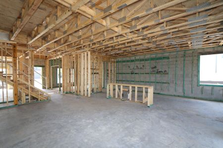 New construction Single-Family house 38177 Shale Stone Court, Zephyrhills, FL 33540 Alenza- photo 50 50