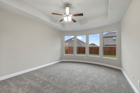 New construction Single-Family house 3688 Rolling Meadows Drive, Grand Prairie, TX 76065 - photo 53 53
