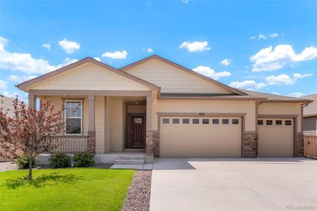 New construction Single-Family house 1315 Copeland Falls Road, Severance, CO 80550 - photo 0