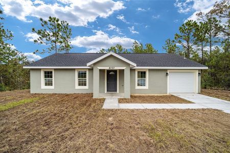 New construction Single-Family house 2771 Sw 151St Avenue, Ocala, FL 34481 - photo 7 7