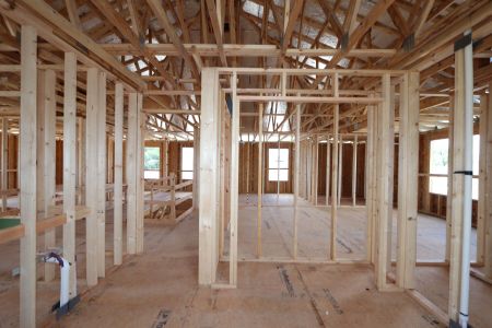 New construction Single-Family house 31801 Sapna Chime Drive, Wesley Chapel, FL 33545 Alenza- photo 39 39