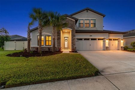 New construction Single-Family house 21865 Emory Oak Place, Land O' Lakes, FL 34637 - photo 58 58