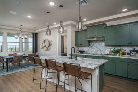 The Grove at El Cidro by William Ryan Homes in Goodyear - photo 35 35